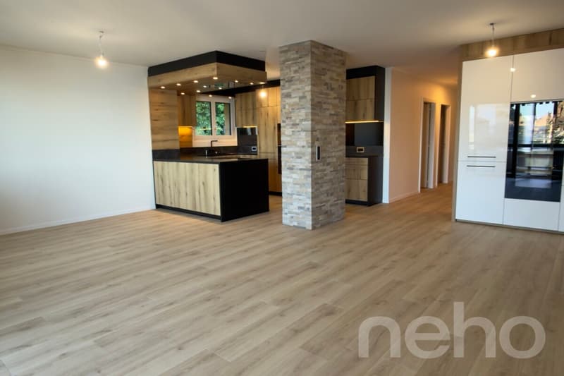 Vue lac époustouflante pour ce 4.5 pièces rénové avec soin (12)