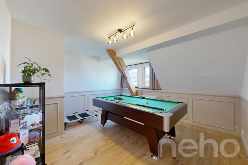 Magnifique maison individuelle rénovée (8)