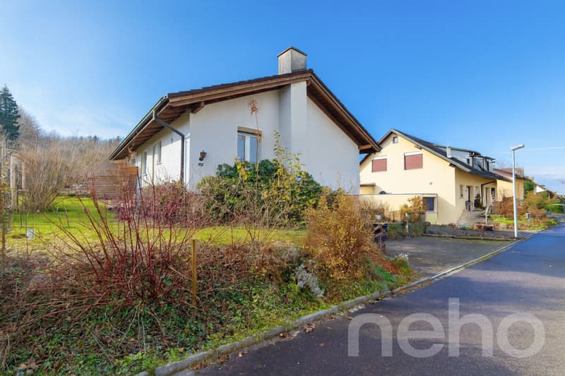 Einfamilienhaus mit grossem Garten, Wintergarten und Teich (11)