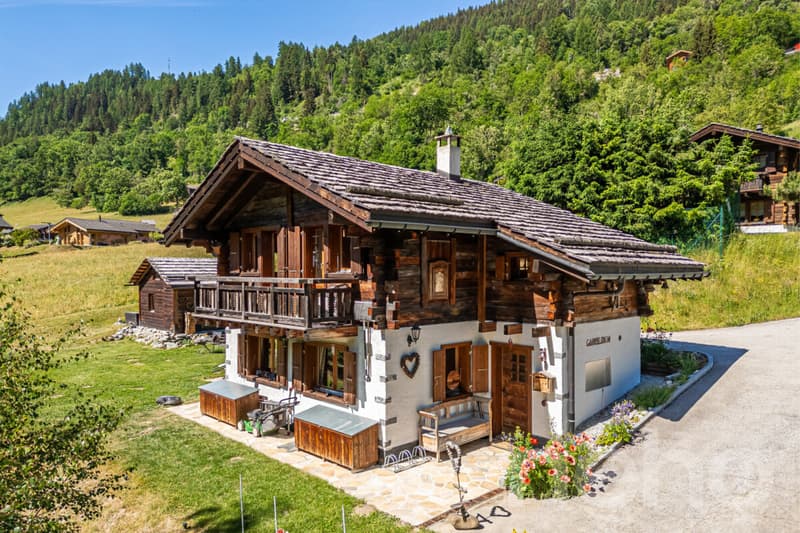 Chalet authentique avec dépendance de charme (2)