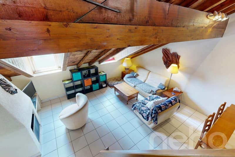 Exclusif: Appartement en attique avec mezzanine (11)