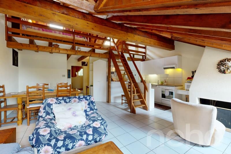 Exclusif: Appartement en attique avec mezzanine (4)