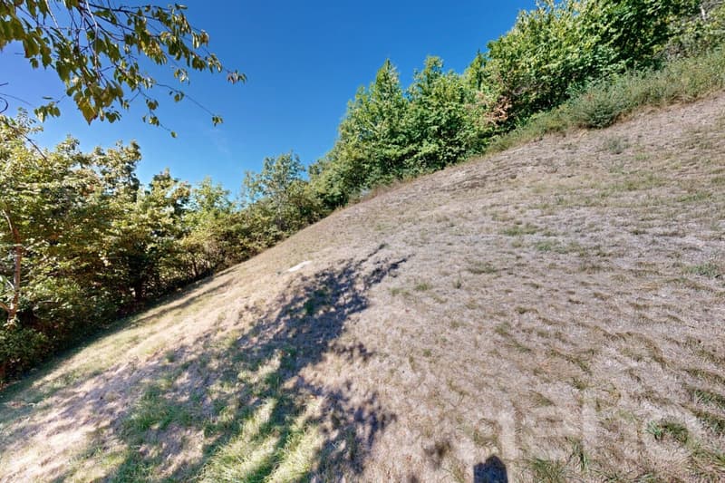 Magnifique terrain constructible de 893 m² à Flanthey (Lens) (5)