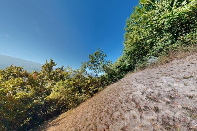 Magnifique terrain constructible de 893 m² à Flanthey (Lens) (11)