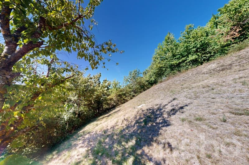 Magnifique terrain constructible de 893 m² à Flanthey (Lens) (9)