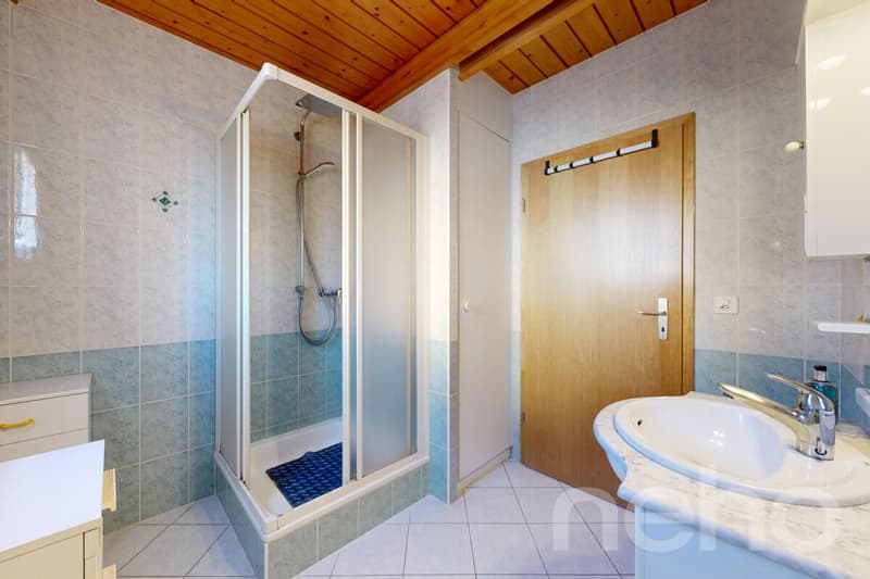 Villa familiale avec jardin arboré et jacuzzi à Founex (8)
