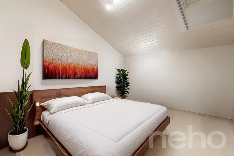 Spacieux duplex avec mezzanine et deux terrasses (8)
