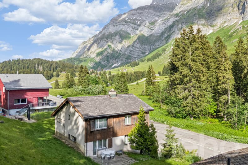 6.5-Zimmer-Einfamilienhaus in naturnaher Lage am Fusse des Säntis (1)