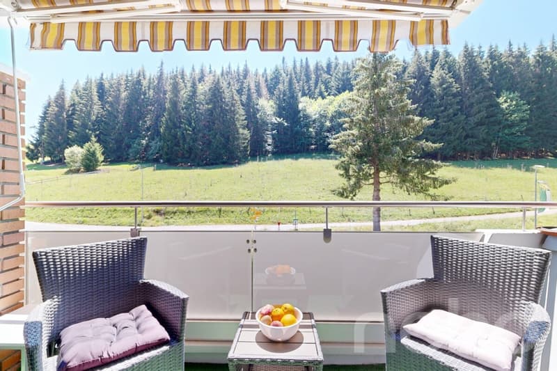 Charmant appartement de 2.5 pièces avec balcon et 2 salles d'eau (11)