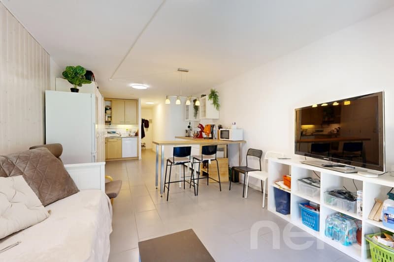 Charmant appartement de 2.5 pièces avec balcon et 2 salles d'eau (1)