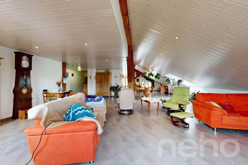 Maison de 380 m² avec fort potentiel de rendement (4)