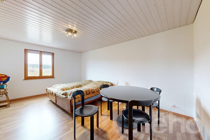 Maison de 380 m² avec fort potentiel de rendement (7)