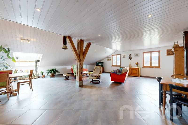 Maison de 380 m² avec fort potentiel de rendement (2)