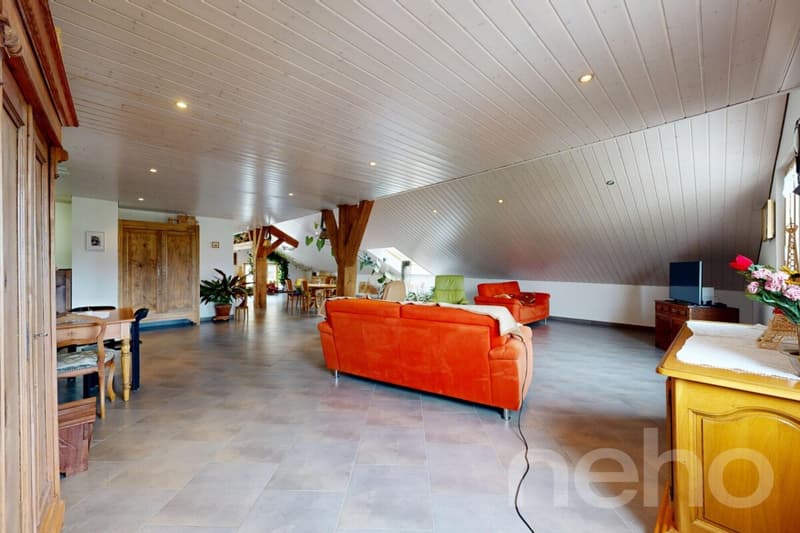 Maison de 380 m² avec fort potentiel de rendement (8)