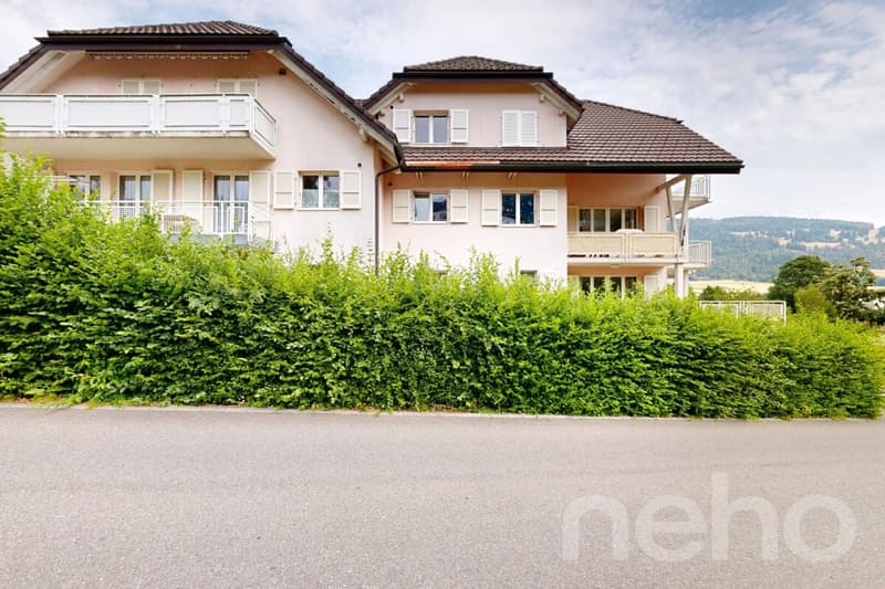 Magnifique appartement de 4,5 pièces avec galerie et grand volume (11)