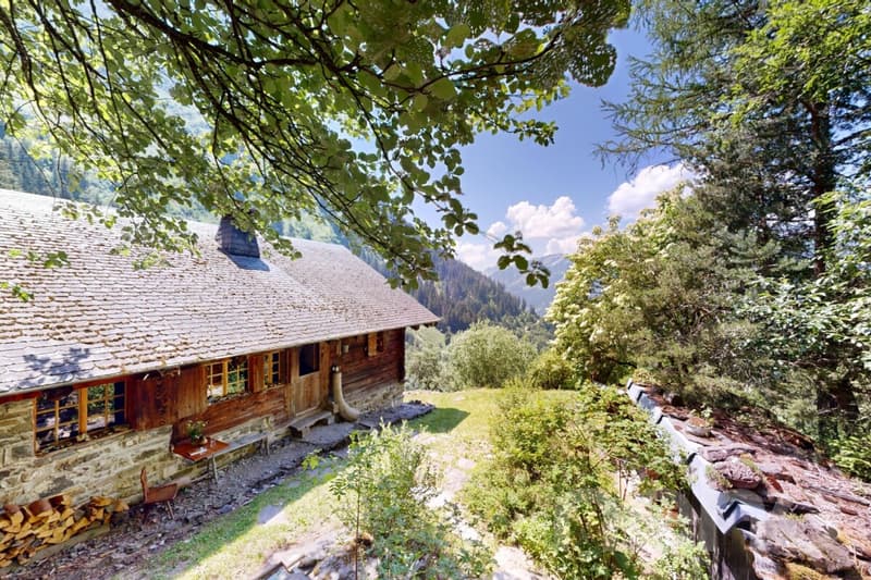Authentique chalet d'alpage ? Déconnexion totale et charme alpin (3)