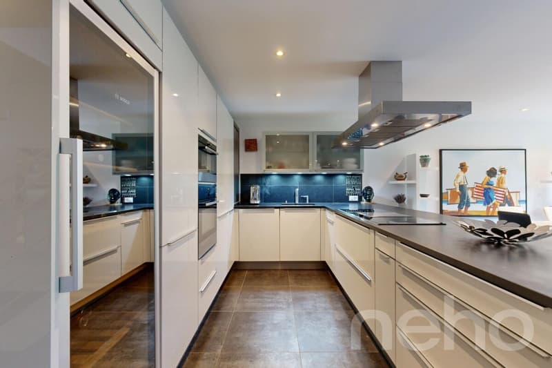 Magnifique duplex avec terrasse et jardin privatif (8)