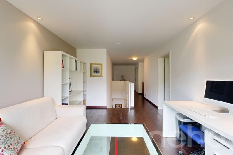 Magnifique duplex avec terrasse et jardin privatif (9)