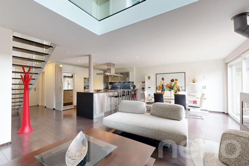 Magnifique duplex avec terrasse et jardin privatif (5)