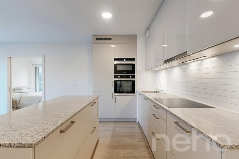 Appartement neuf avec jardin et accès au lac (4)