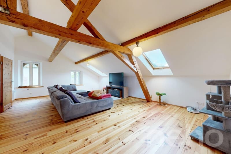 Martigny-Combe : Grande maison villageoise de 2 appartements avec vue (2)