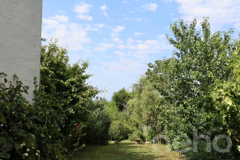 Belle opportunité - Maison rénovée à Lutry (9)