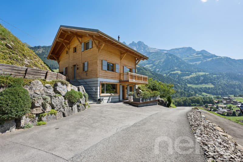 Chalet de charme + loft indépendant - vue sur les Dents du Midi (4)