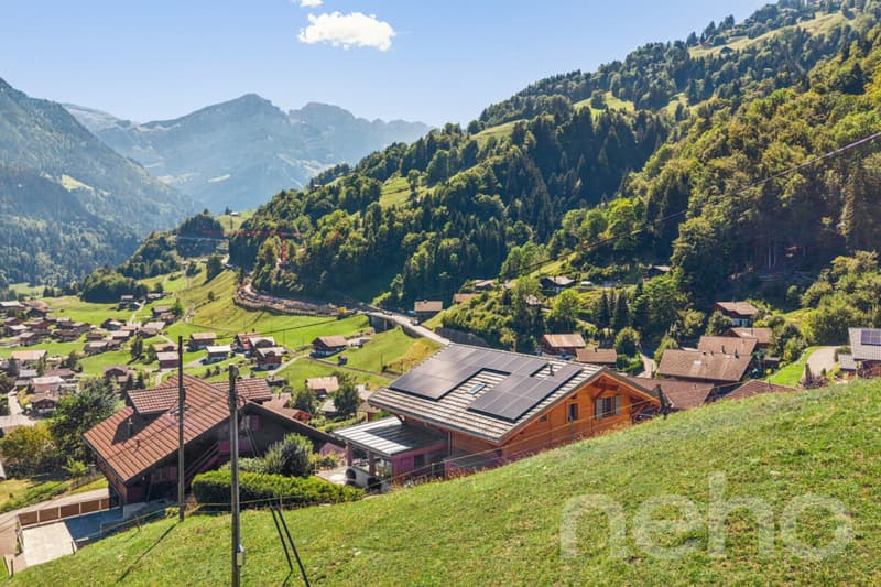 Chalet de charme + loft indépendant - vue sur les Dents du Midi (3)