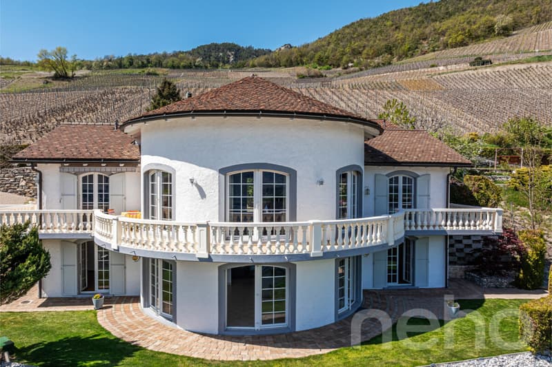 Villa d'exception - Vue panoramique - 3 logements (2)