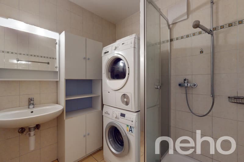Appartement spacieux, lumineux et vue apprenable sur le lac ! (9)