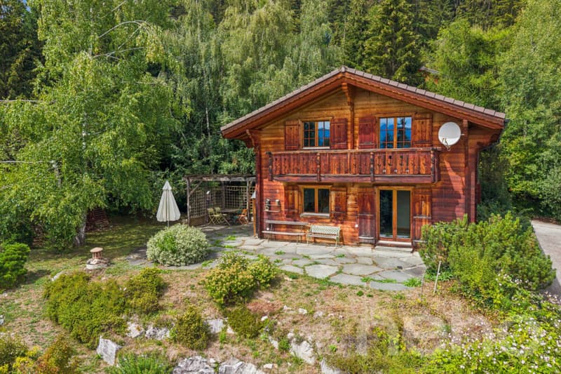 Charmant Chalet avec grand terrain et vue dégagée à Arbaz (3)
