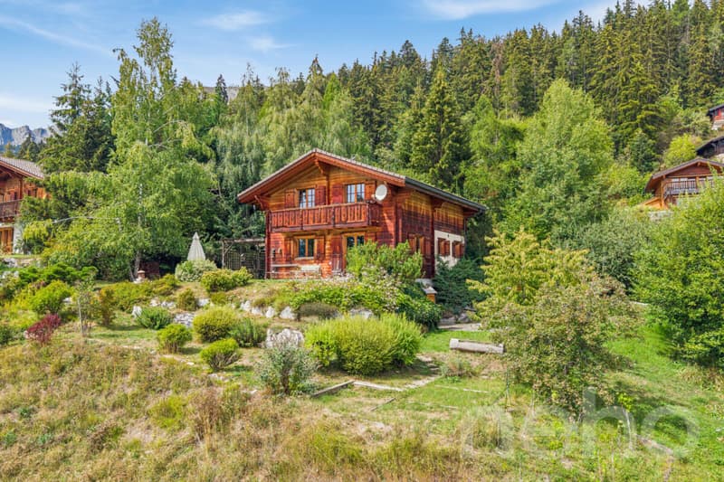 Charmant Chalet avec grand terrain et vue dégagée à Arbaz (2)