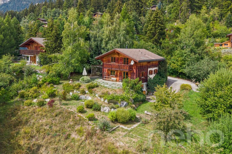 Charmant Chalet avec grand terrain et vue dégagée à Arbaz (1)