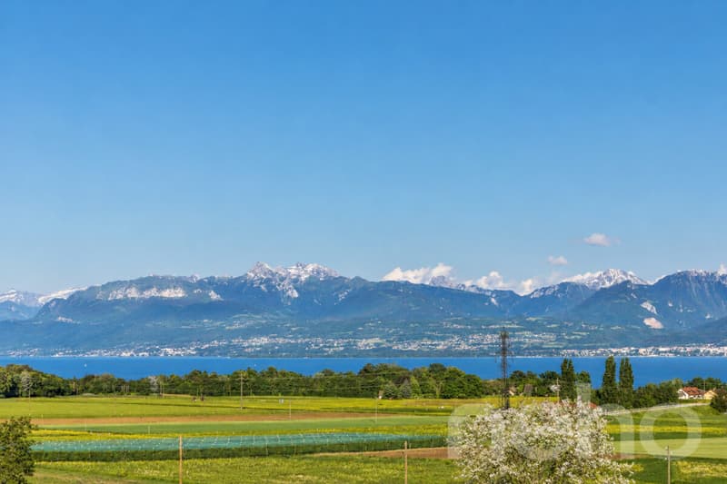 À 5 min de Rolle et de Gland, maison familiale, vue lac et Alpes (11)