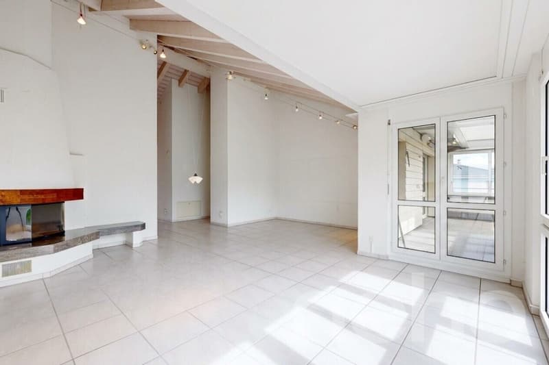 Sonnige 5.5-Zimmer-Attikawohnung in Winterthur (2)