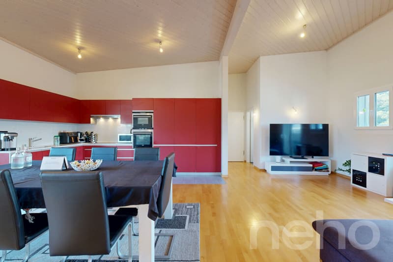 Grand Attique avec terrasse de 60m² et vue sur les montagnes. (4)