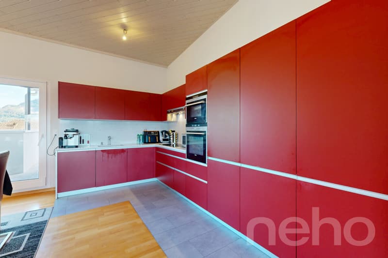 Grand Attique avec terrasse de 60m² et vue sur les montagnes. (7)