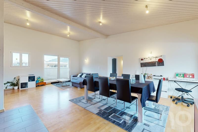 Grand Attique avec terrasse de 60m² et vue sur les montagnes. (1)