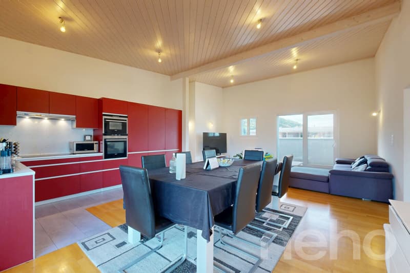 Grand Attique avec terrasse de 60m² et vue sur les montagnes. (3)