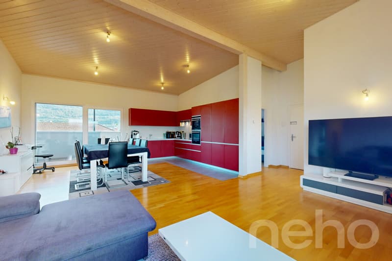 Grand Attique avec terrasse de 60m² et vue sur les montagnes. (5)