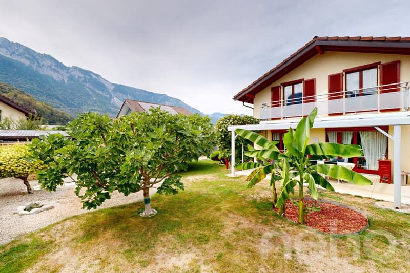 Maison avec jardin et terrasse plein sud à Collombey idéalement située (8)