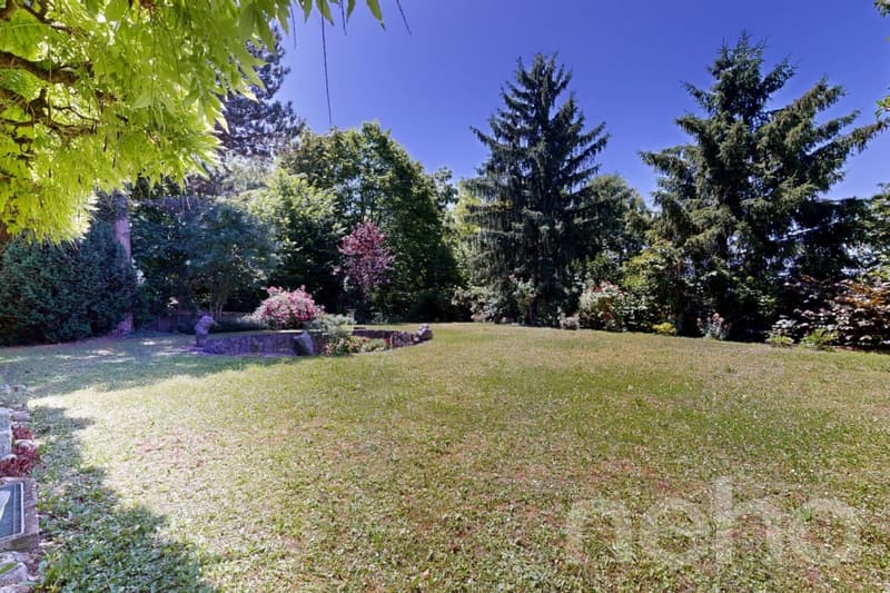 Grosszügiges 7.5-Zimmer-Einfamilienhaus mit Gartenidylle in Dornach (3)