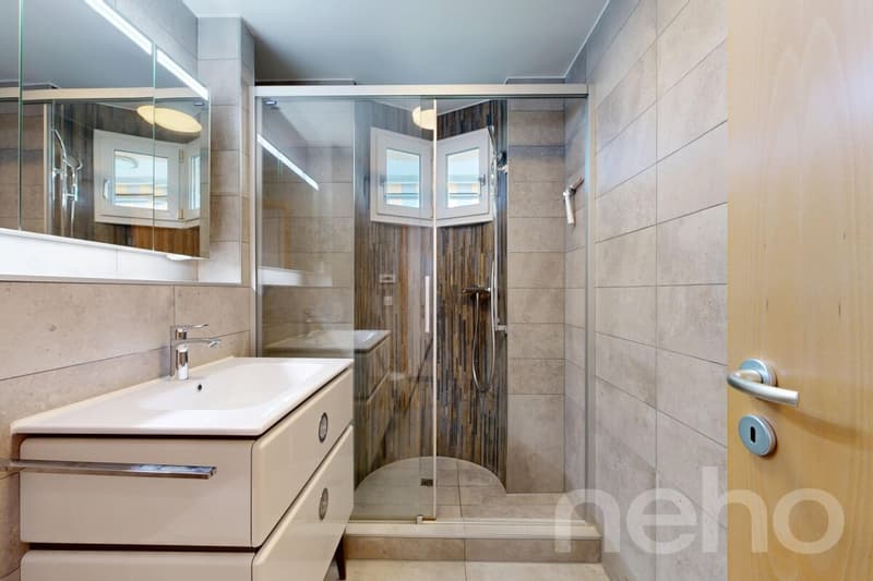 Superbe appartement avec vue sur le lac à St-Prex! (8)