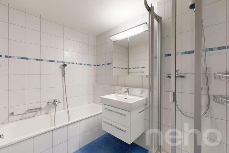 5.5-Zimmer-Reihenhaus in Allschwil - Wohnen zwischen Stadt und Natur (9)