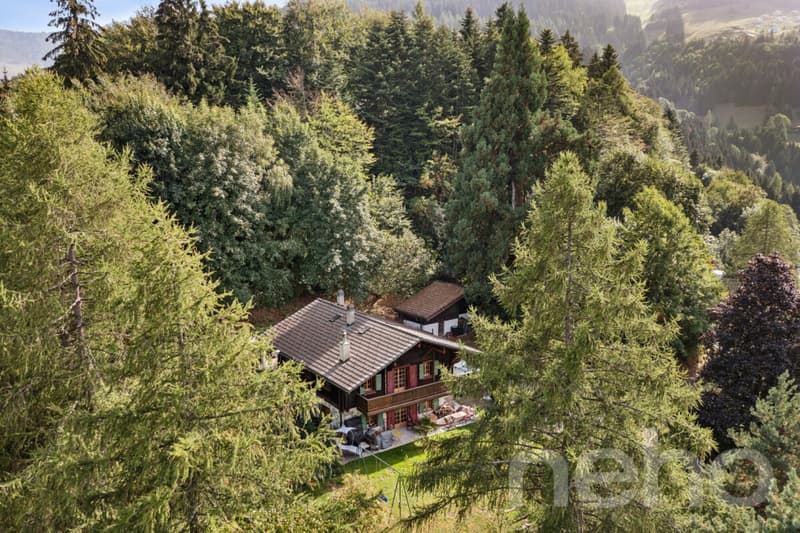 Les Giettes ? Chalet de caractère sur un terrain d'exception (2)