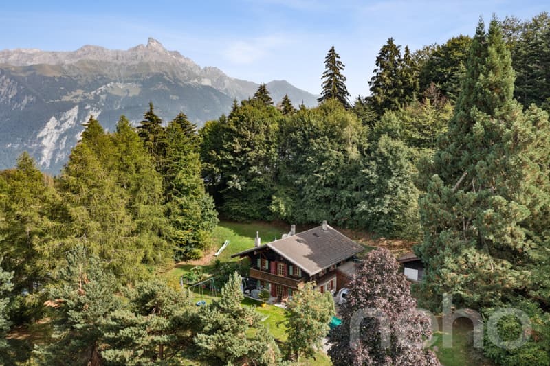 Les Giettes ? Chalet de caractère sur un terrain d'exception (3)