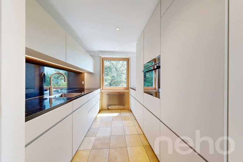 6.5 Zimmer Terrassenwohnung mit 189 m² Aussenfläche und Weitsicht (3)