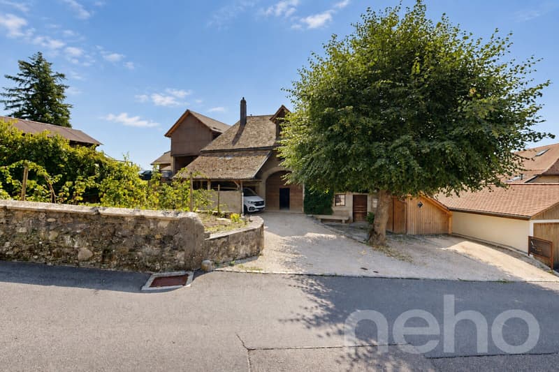Maison de village de 1850 au cachet préservé, atelier de 185 m² (1)