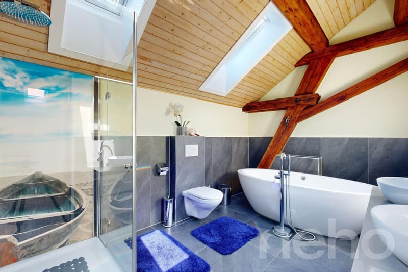 Einzigartige Dachgeschosswohnung mit Cheminée und Sichtbalken (8)