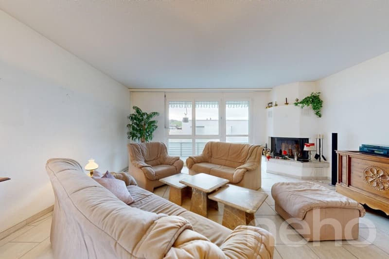Helle Attikawohnung mit Dachterrasse, Cheminée & Charme (1)